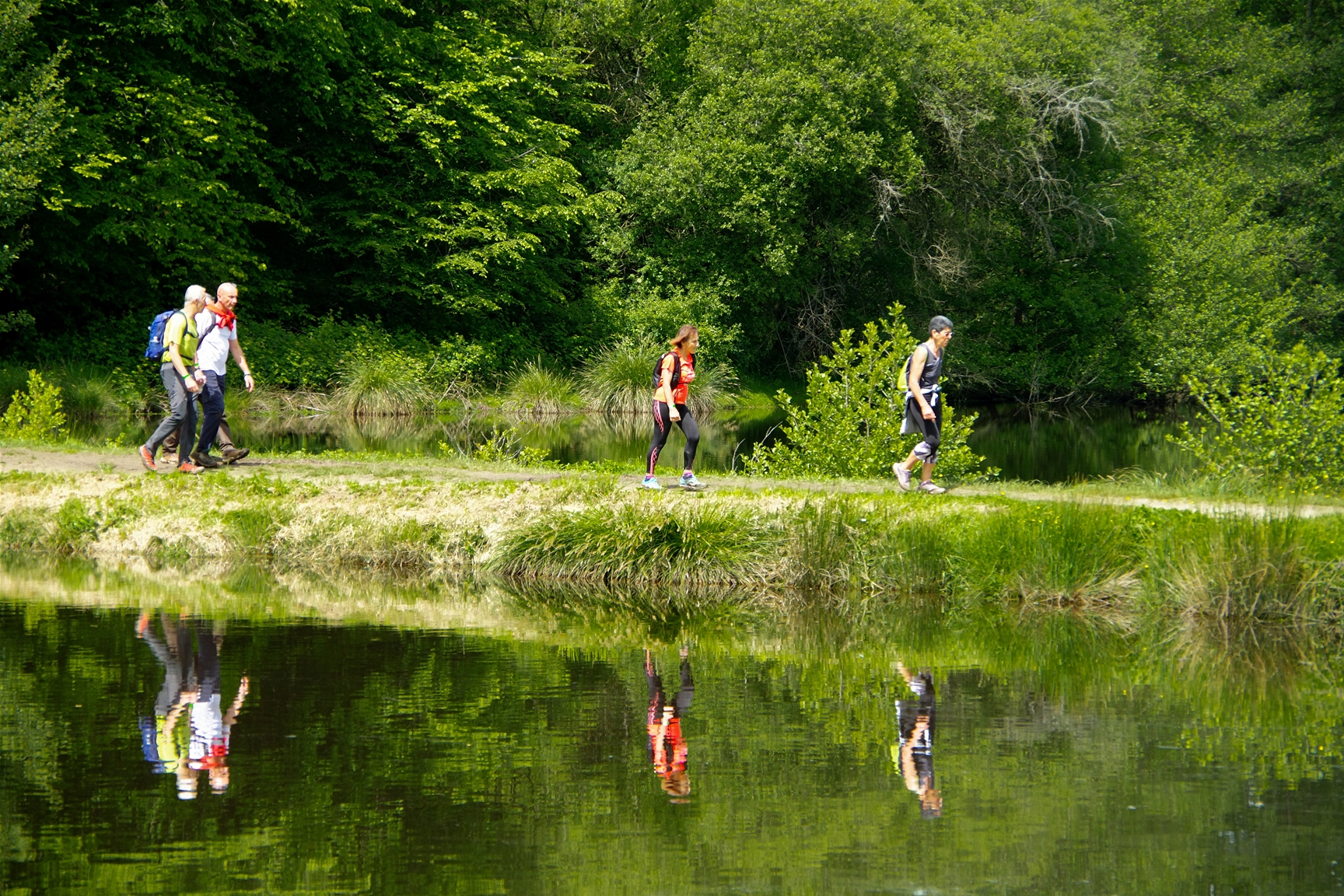 Randonnée en pleine nature