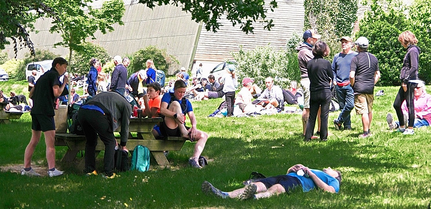 95 - Convivialité et repos sur la pelouse