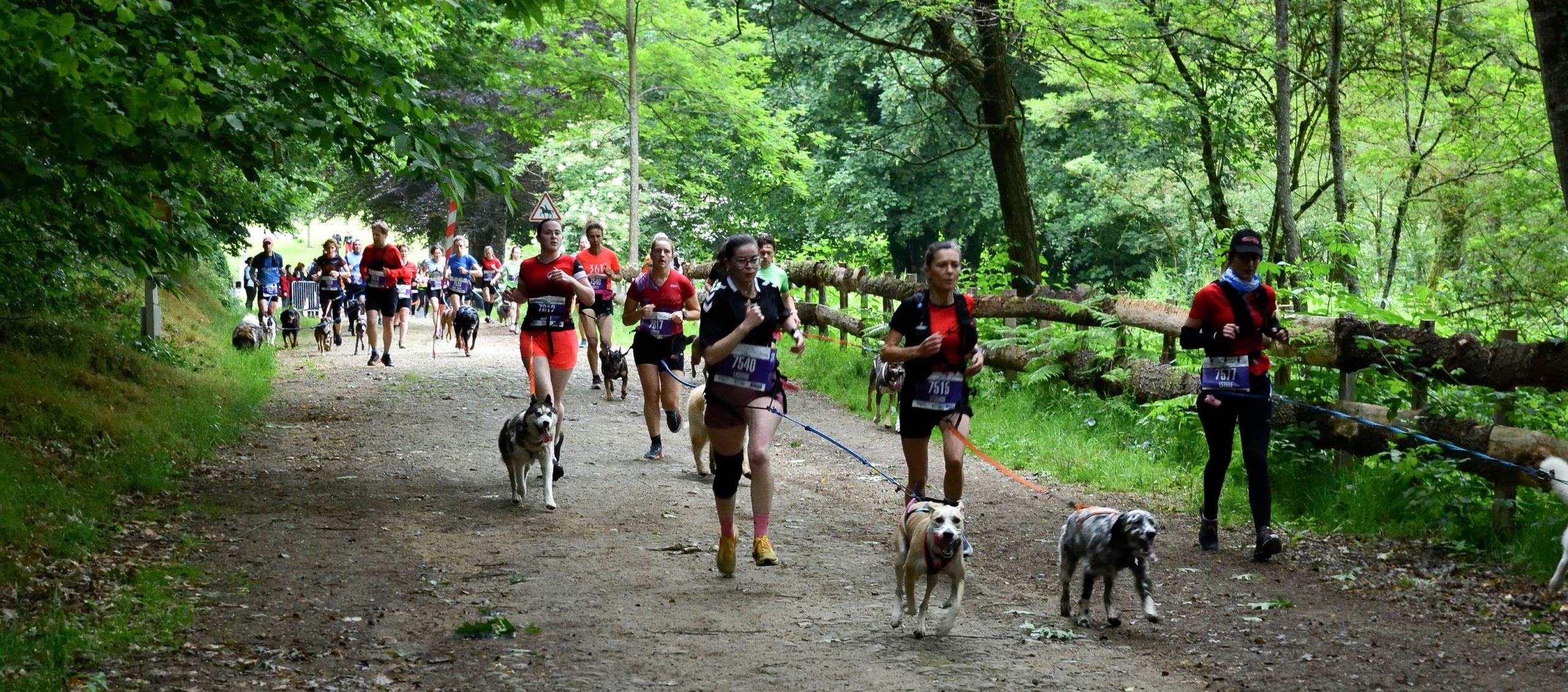 56 - Canicross 5 km