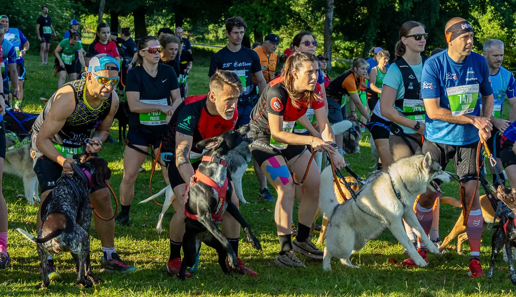 15 - Retenir le chien avant le départ du canicross